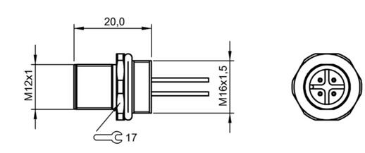 法蘭插接器 BCC M454-0000-2A-RM020-002